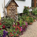 Haus Schwarzwaldblick 아파트