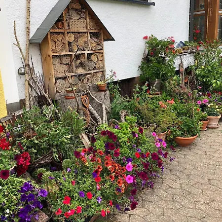 Haus Schwarzwaldblick Διαμέρισμα