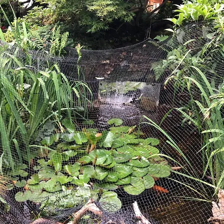 Haus Schwarzwaldblick Daire Achern