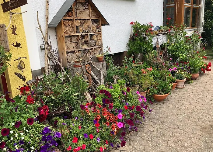 Haus Schwarzwaldblick アパート