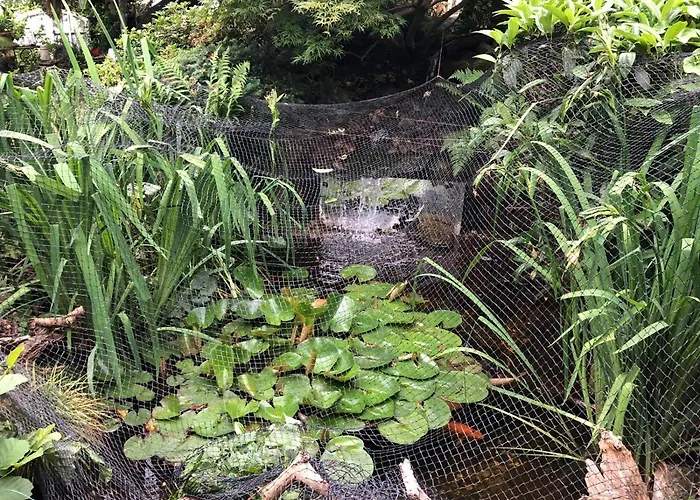 Haus Schwarzwaldblick アパート アーハーン